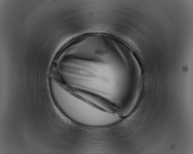 X0000090930942200708271042