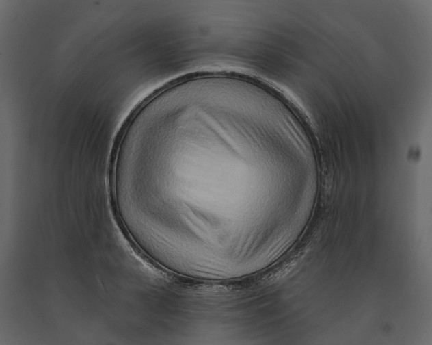 X0000090930943200708271042