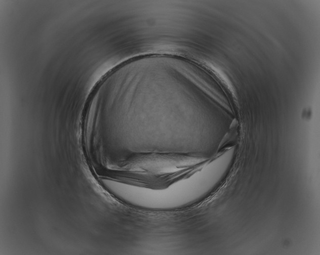 X0000090930944200708271042