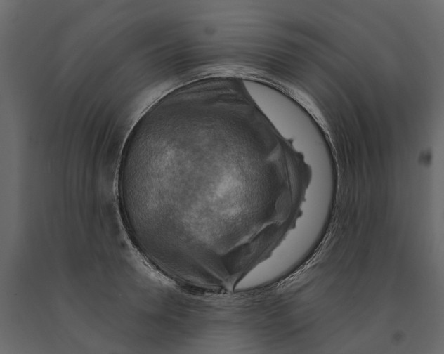 X0000090930946200708271042