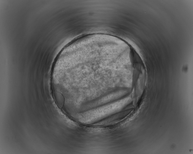 X0000090930949200708271042