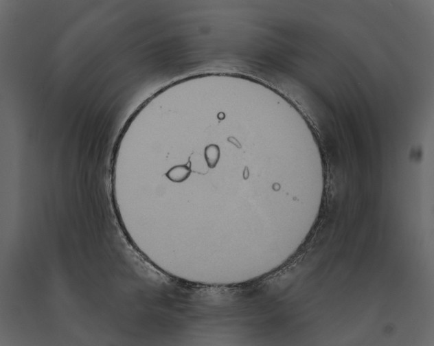 X0000090930950200708271042