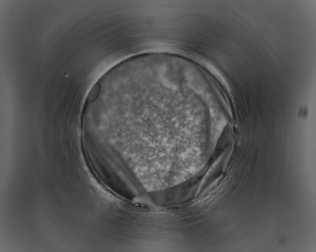 X0000090930951200708271042