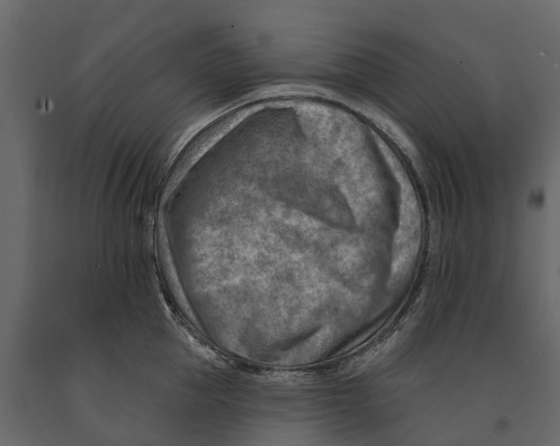 X0000090930953200708271042