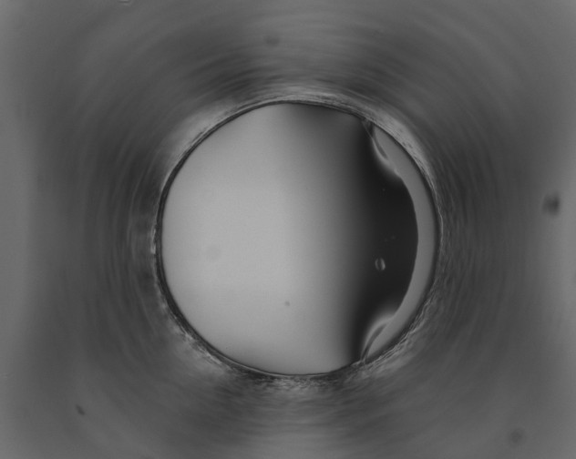 X0000090930954200708271042