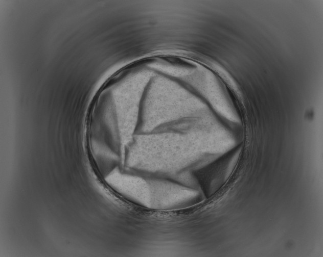 X0000090930955200708271042