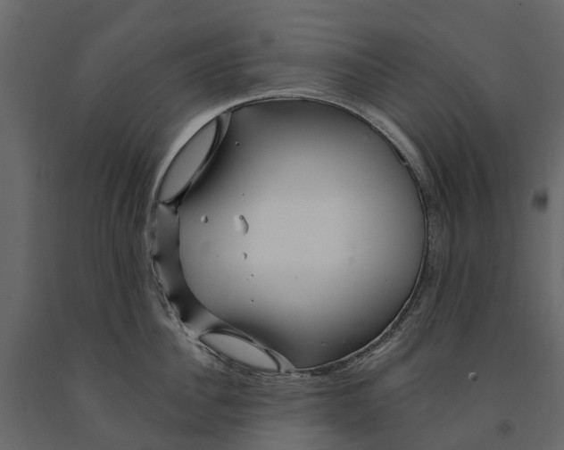 X0000090930956200708271042