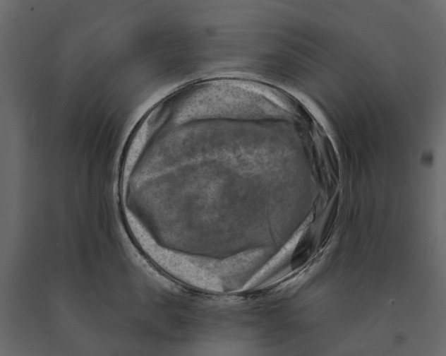 X0000090930957200708271042