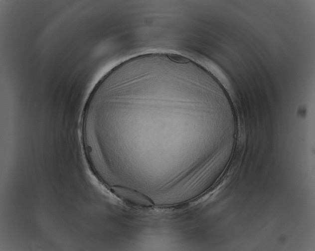 X0000090930958200708271042