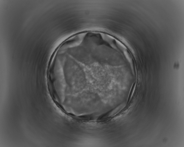 X0000090930959200708271042