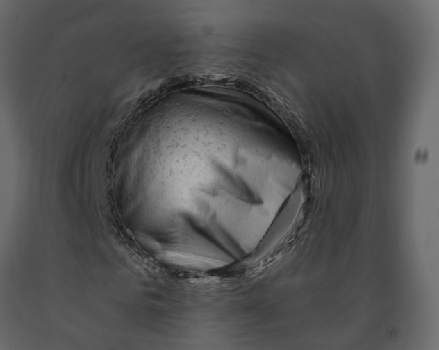 X0000090930961200708271041