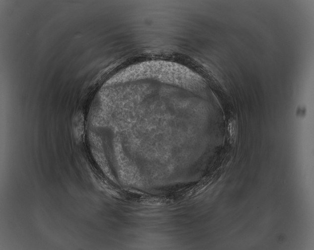 X0000090930963200708271041