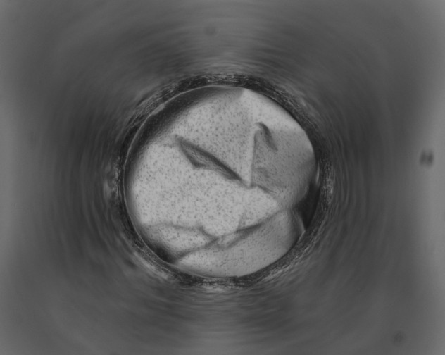 X0000090930964200708271041