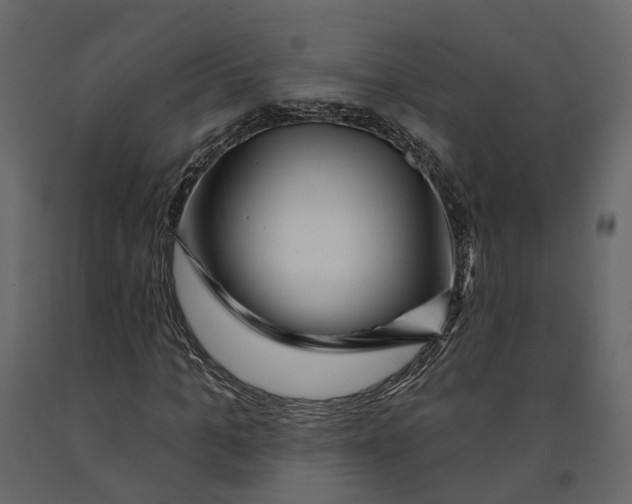 X0000090930965200708271041