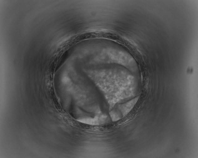 X0000090930966200708271041