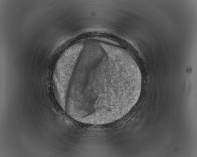 X0000090930967200708271041