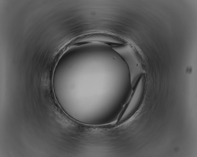 X0000090930969200708271041