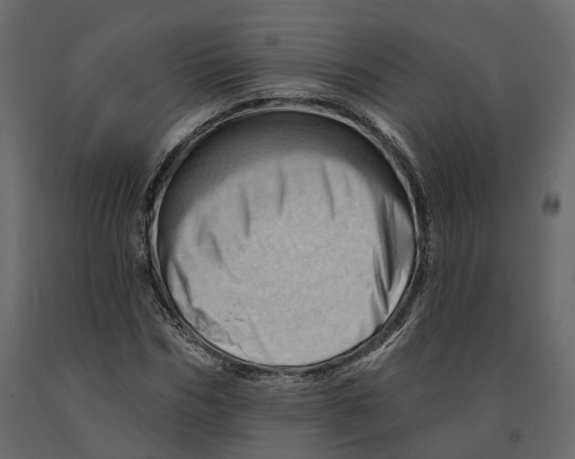 X0000090930970200708271041