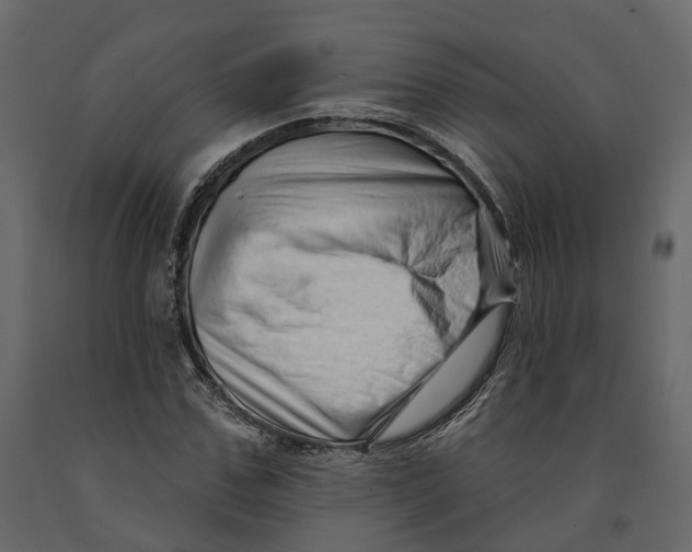 X0000090930971200708271041