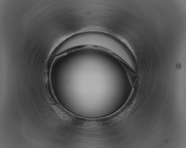 X0000090930973200708271041