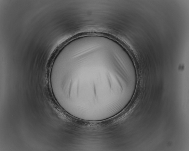 X0000090930974200708271041