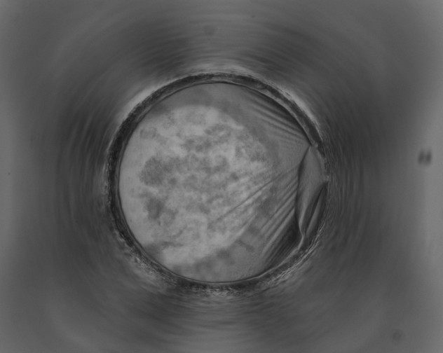 X0000090930975200708271041