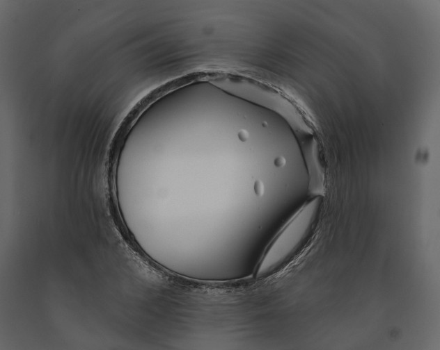 X0000090930976200708271041