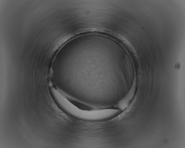 X0000090930977200708271041