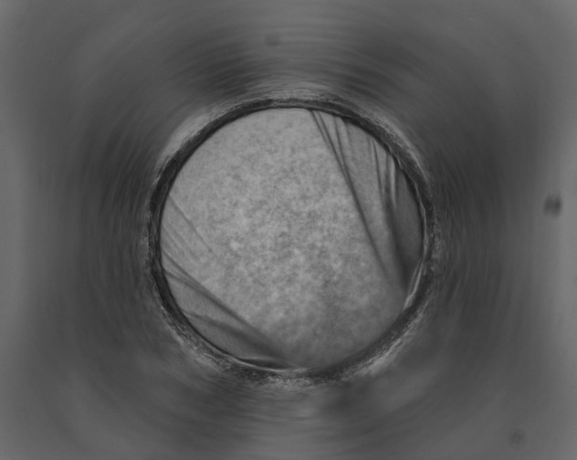 X0000090930978200708271041