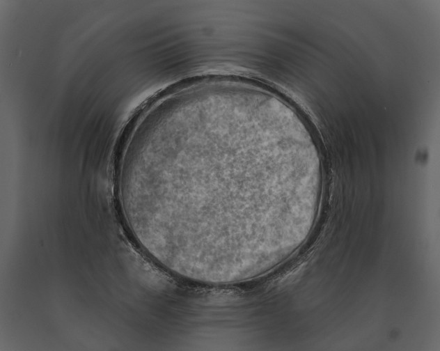 X0000090930979200708271041