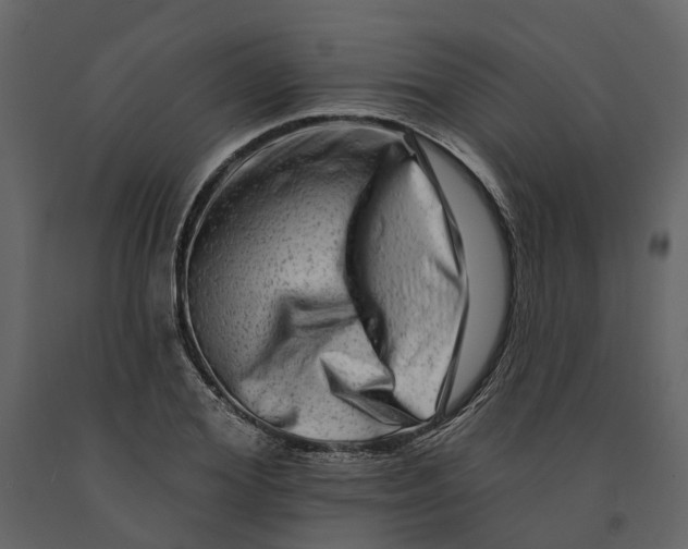 X0000090930980200708271041