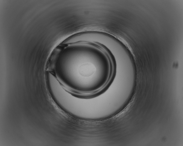 X0000090930981200708271041