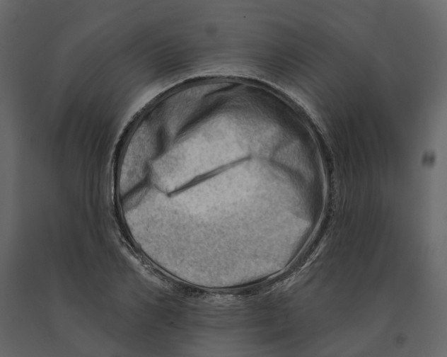 X0000090930982200708271041