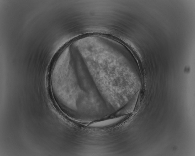 X0000090930983200708271041