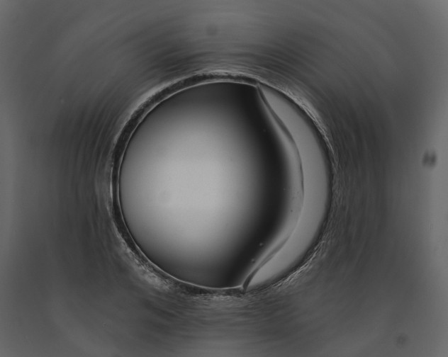 X0000090930984200708271041