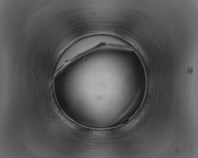 X0000090930985200708271041