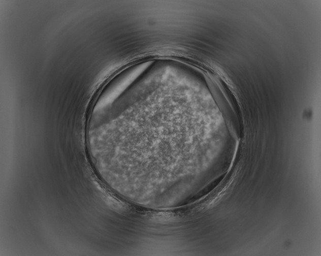 X0000090930986200708271041