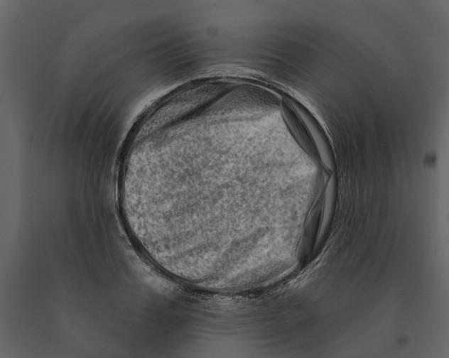 X0000090930987200708271041