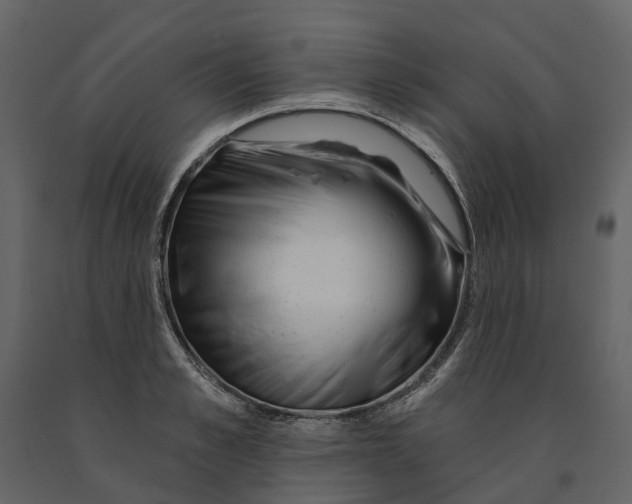 X0000090930989200708271041