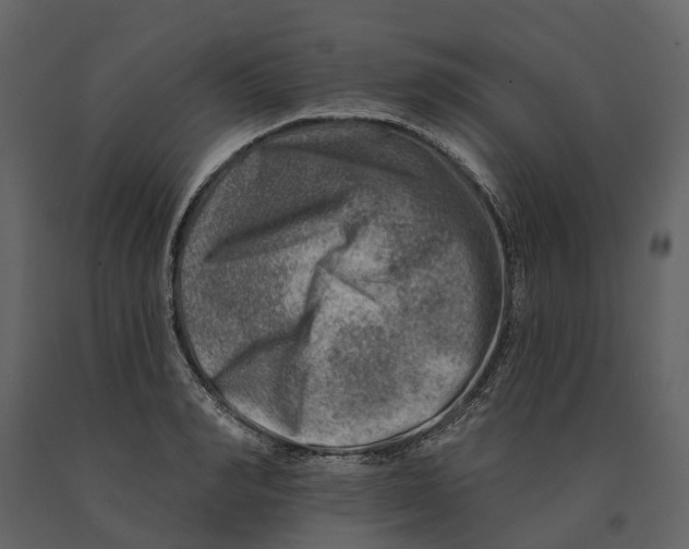 X0000090930990200708271041