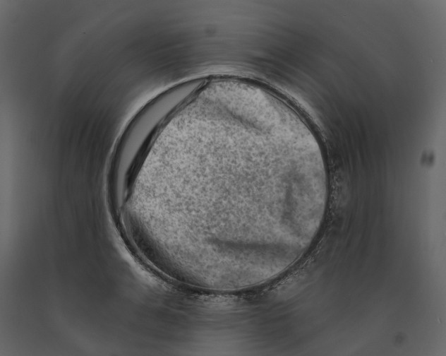 X0000090930991200708271041