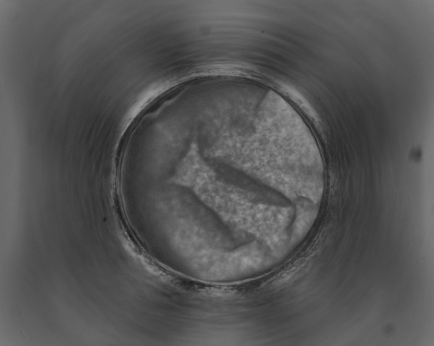 X0000090930994200708271041