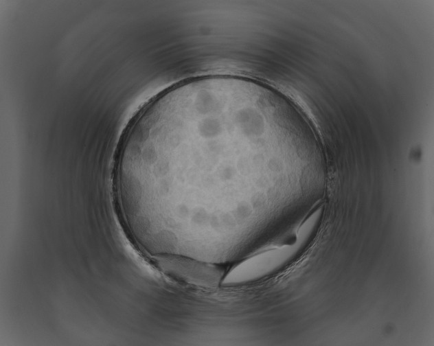 X0000090930995200708271041