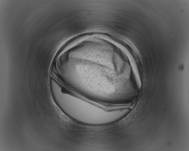 X0000090930996200708271041