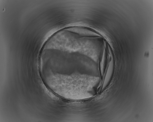 X0000090930998200708271041