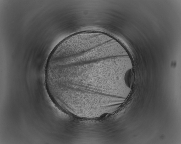 X0000090930999200708271041