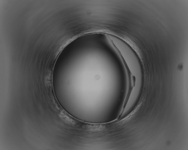 X0000090931001200708271041