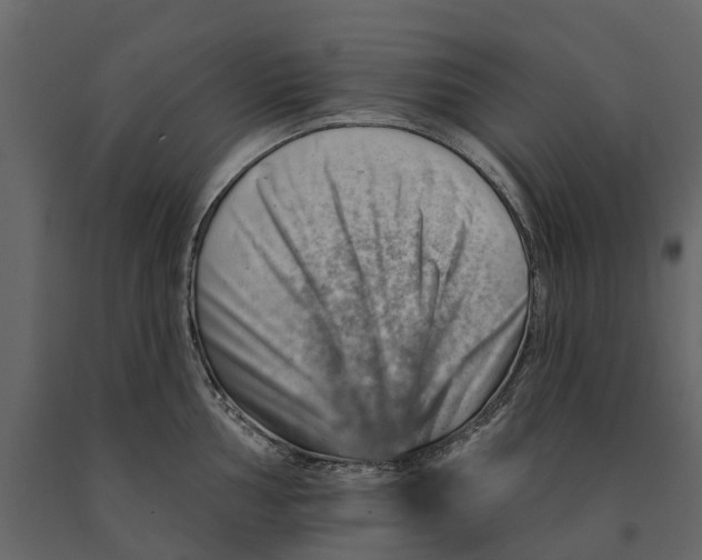 X0000090931002200708271041