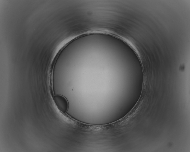 X0000090931003200708271041