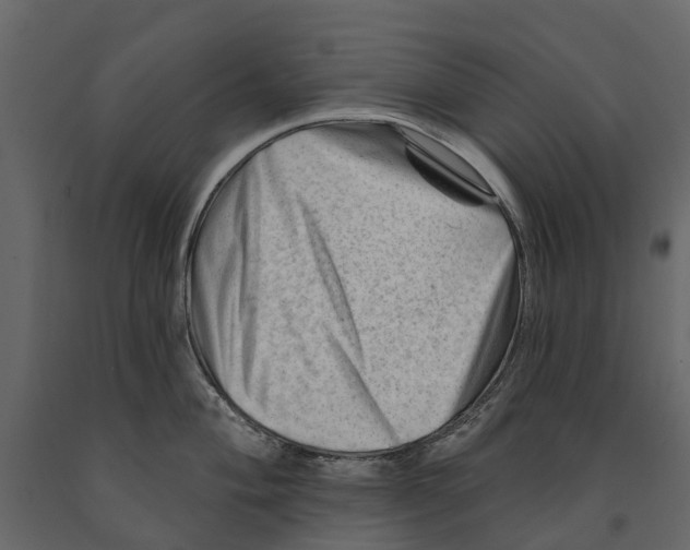 X0000090931004200708271041